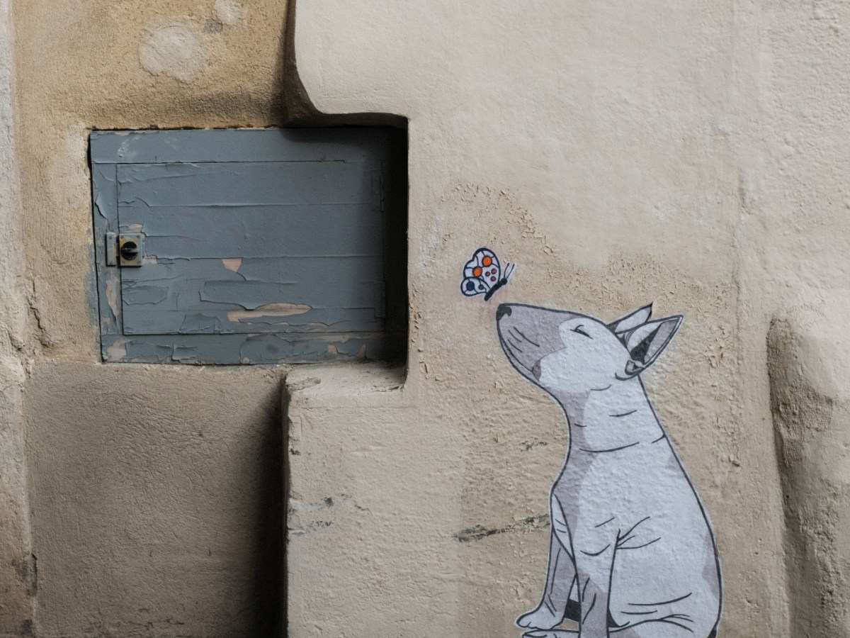 Le bonheur, c&rsquo;est ma&nbsp;rue